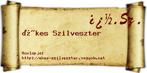 Ékes Szilveszter névjegykártya
